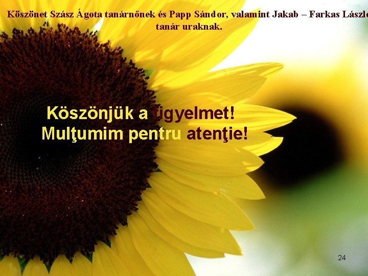 Köszönet Szász Ágota tanárnőnek és Papp Sándor, valamint Jakab – Farkas László tanár uraknak.