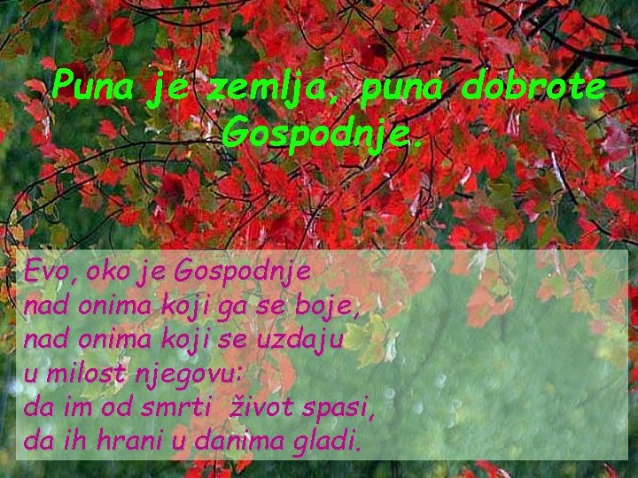 Puna je zemlja, puna dobrote Gospodnje. Evo, oko je Gospodnje nad onima koji ga Puna je zemlja, puna dobrote Gospodnje. Evo, oko je Gospodnje nad onima koji ga