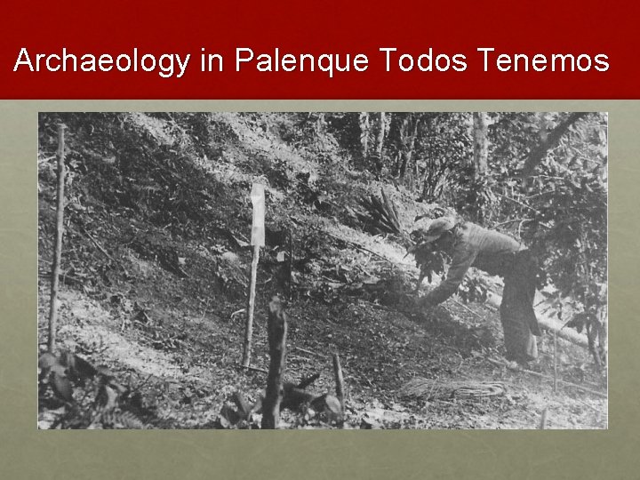 Archaeology in Palenque Todos Tenemos 
