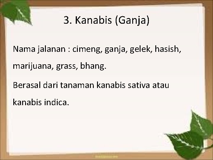 3. Kanabis (Ganja) Nama jalanan : cimeng, ganja, gelek, hasish, marijuana, grass, bhang. Berasal