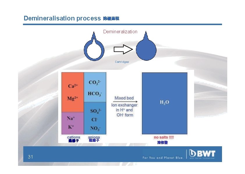 Demineralisation process 除礦過程 Demineralization Cartridges 陽離子 31 陰離子 溶解鹽 