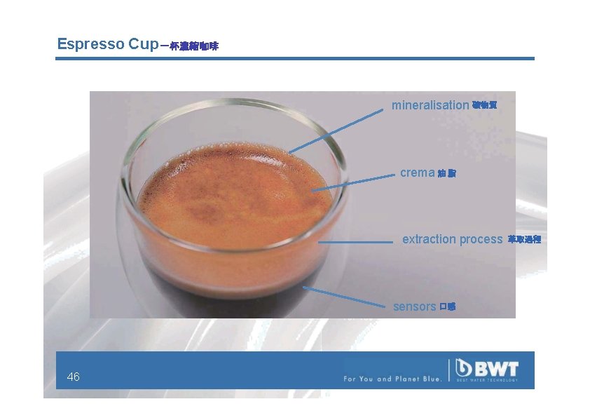 Espresso Cup 一杯濃縮咖啡 mineralisation 礦物質 crema 油 脂 extraction process sensors 口感 46 萃取過程