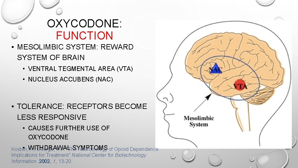 OXYCODONE: FUNCTION • MESOLIMBIC SYSTEM: REWARD SYSTEM OF BRAIN • VENTRAL TEGMENTAL AREA (VTA)