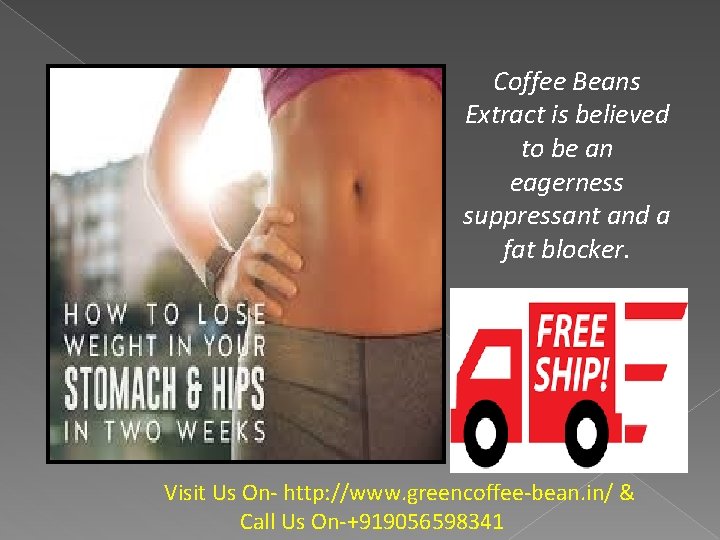 Coffee Beans Extract is believed to be an eagerness suppressant and a fat blocker.