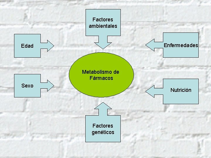 Factores ambientales Enfermedades Edad Metabolismo de Fármacos Sexo Nutrición Factores genéticos 