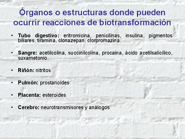 Órganos o estructuras donde pueden ocurrir reacciones de biotransformación • Tubo digestivo: eritromicina, penicilinas,