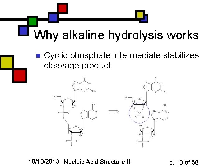 Why alkaline hydrolysis works n Cyclic phosphate intermediate stabilizes cleavage product 10/10/2013 Nucleic Acid