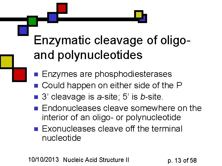 Enzymatic cleavage of oligoand polynucleotides n n n Enzymes are phosphodiesterases Could happen on