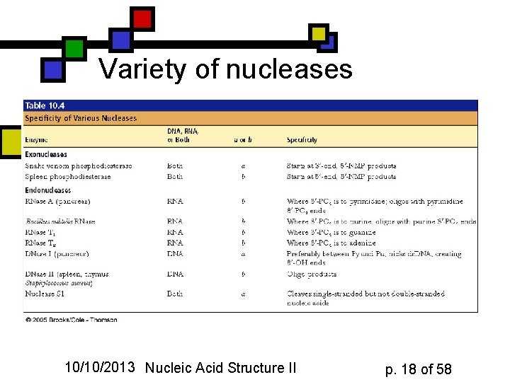 Variety of nucleases 10/10/2013 Nucleic Acid Structure II p. 18 of 58 