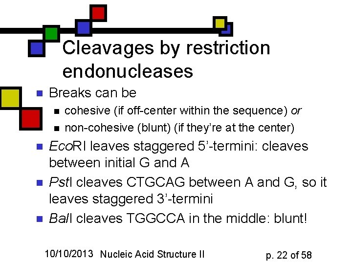 Cleavages by restriction endonucleases n Breaks can be n n n cohesive (if off-center