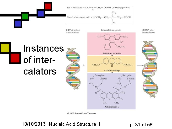 Instances of intercalators 10/10/2013 Nucleic Acid Structure II p. 31 of 58 