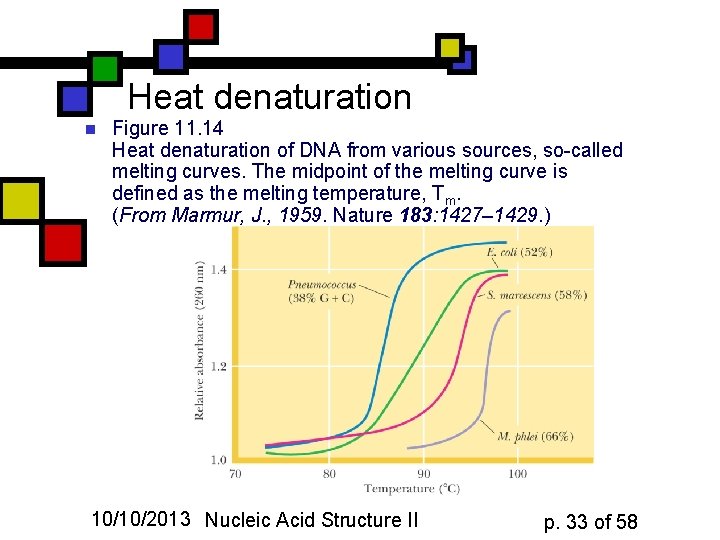 Heat denaturation n Figure 11. 14 Heat denaturation of DNA from various sources, so-called