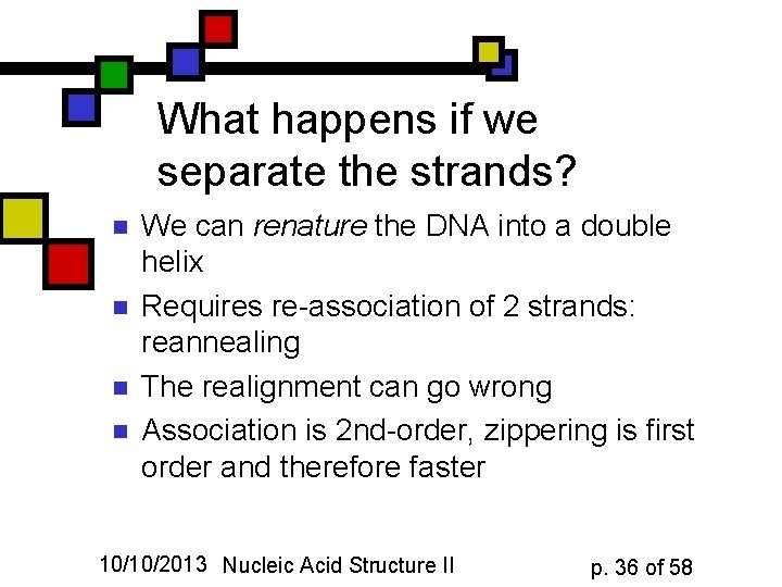 What happens if we separate the strands? n n We can renature the DNA