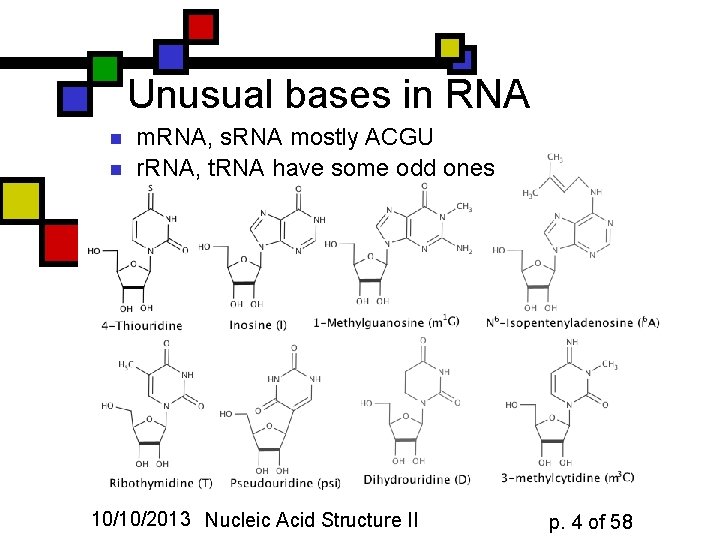 Unusual bases in RNA n n m. RNA, s. RNA mostly ACGU r. RNA,