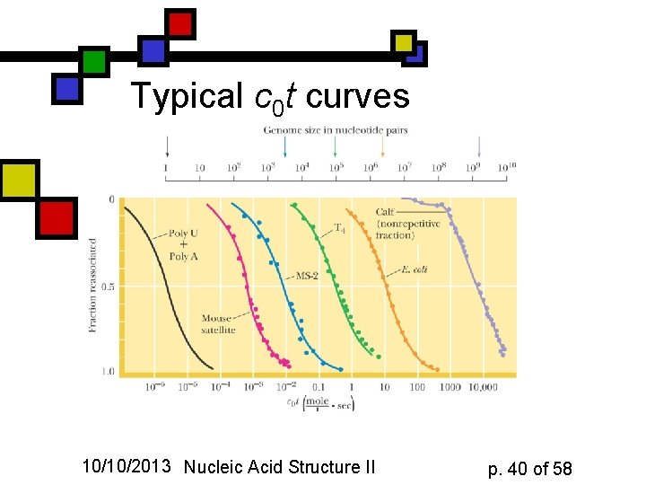 Typical c 0 t curves 10/10/2013 Nucleic Acid Structure II p. 40 of 58