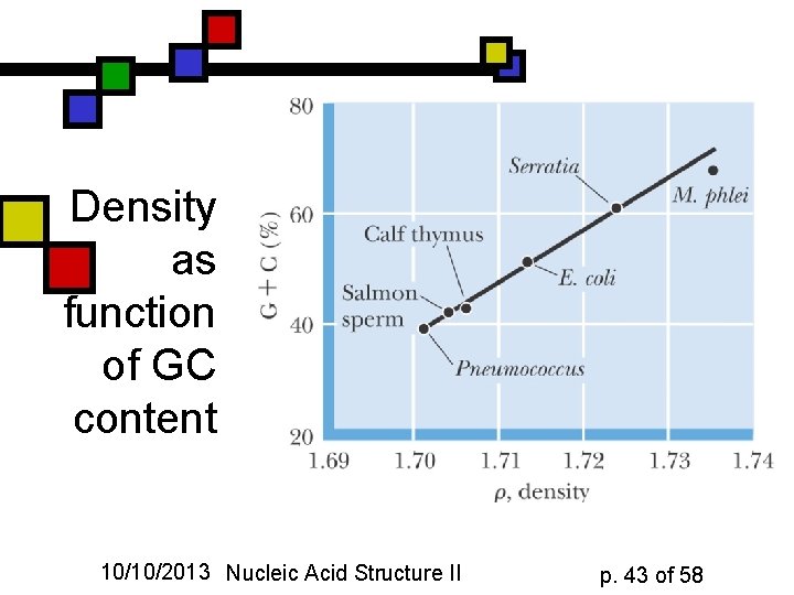 Density as function of GC content 10/10/2013 Nucleic Acid Structure II p. 43 of