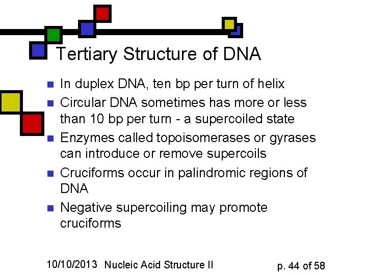 Tertiary Structure of DNA n n n In duplex DNA, ten bp per turn