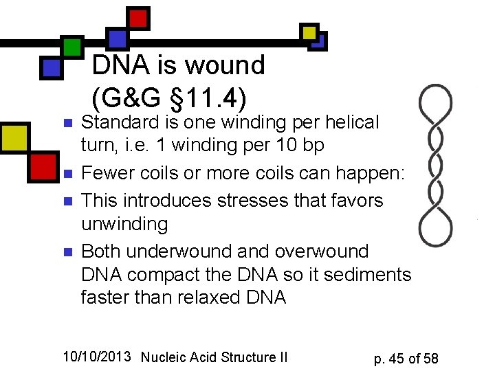 DNA is wound (G&G § 11. 4) n n Standard is one winding per