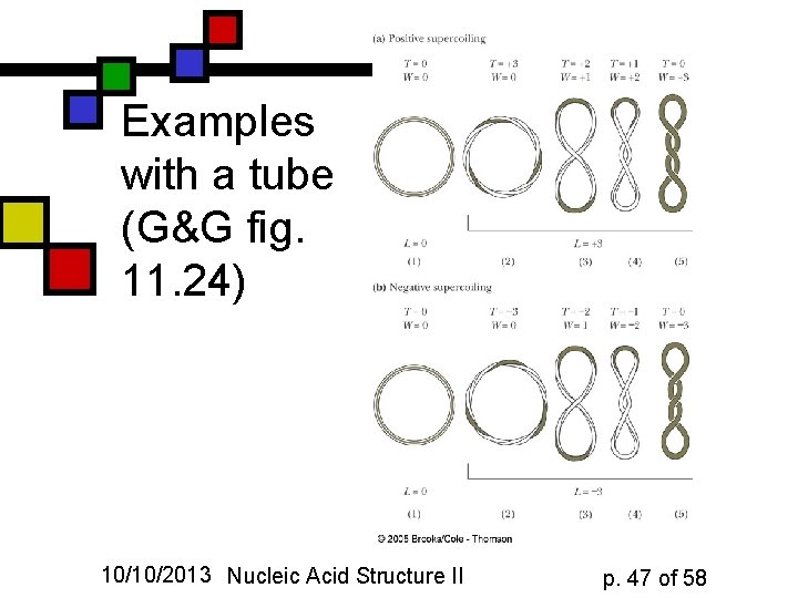 Examples with a tube (G&G fig. 11. 24) 10/10/2013 Nucleic Acid Structure II p.