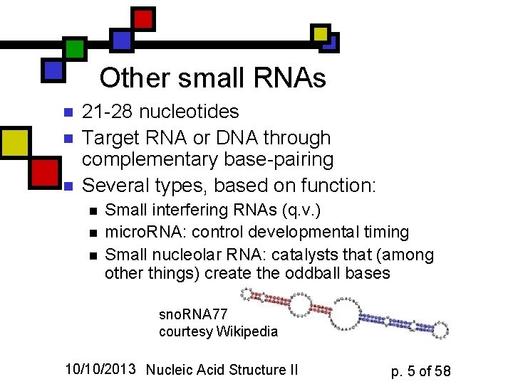 Other small RNAs n n n 21 -28 nucleotides Target RNA or DNA through