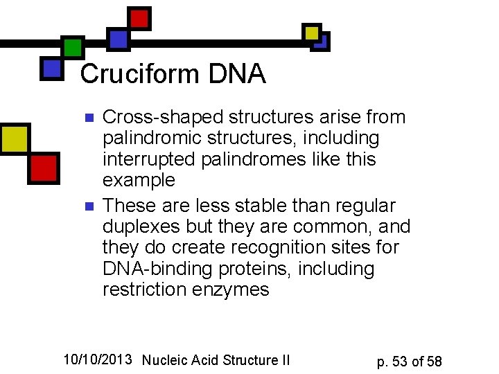 Cruciform DNA n n Cross-shaped structures arise from palindromic structures, including interrupted palindromes like