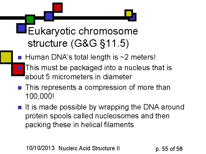 Eukaryotic chromosome structure (G&G § 11. 5) n n Human DNA’s total length is