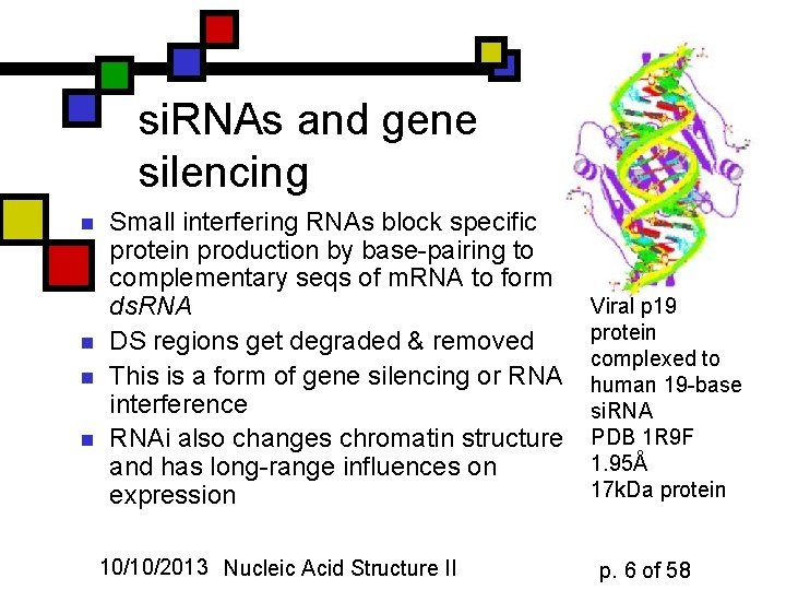 si. RNAs and gene silencing n n Small interfering RNAs block specific protein production