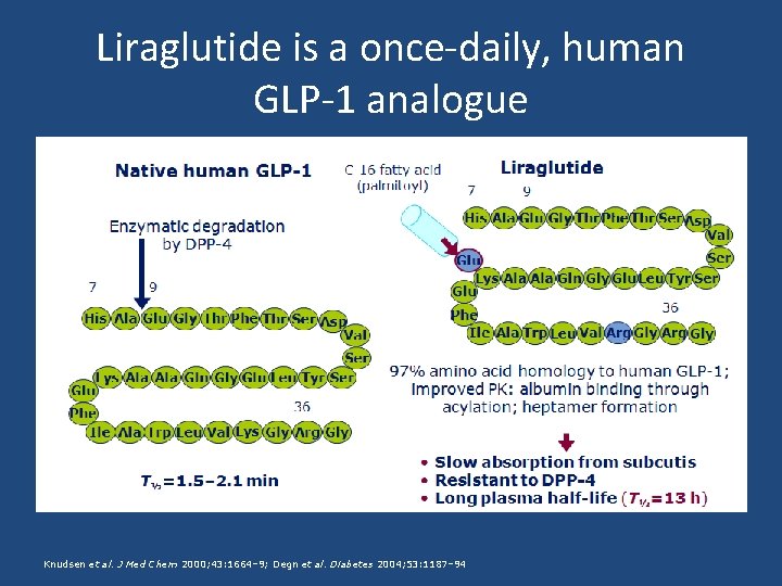 Liraglutide is a once-daily, human GLP-1 analogue Knudsen et al. J Med Chem 2000;