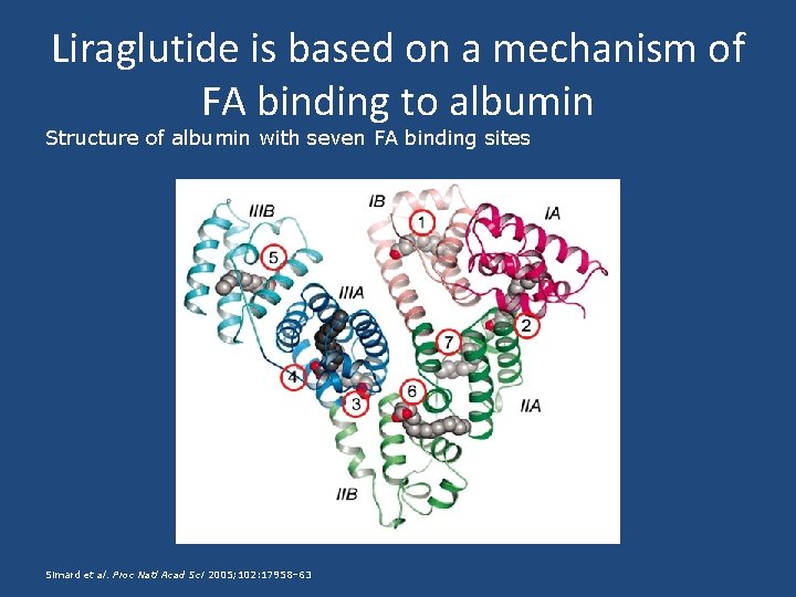 Liraglutide is based on a mechanism of FA binding to albumin Structure of albumin
