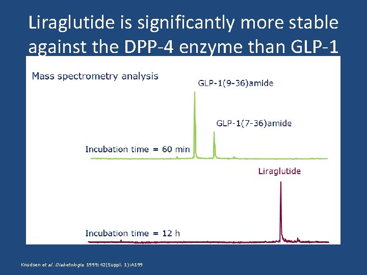 Liraglutide is significantly more stable against the DPP-4 enzyme than GLP-1 Knudsen et al.