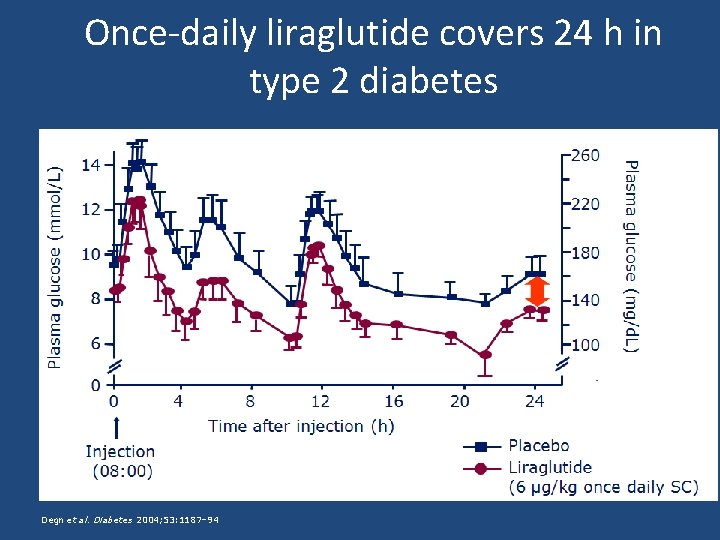 Once-daily liraglutide covers 24 h in type 2 diabetes Degn et al. Diabetes 2004;
