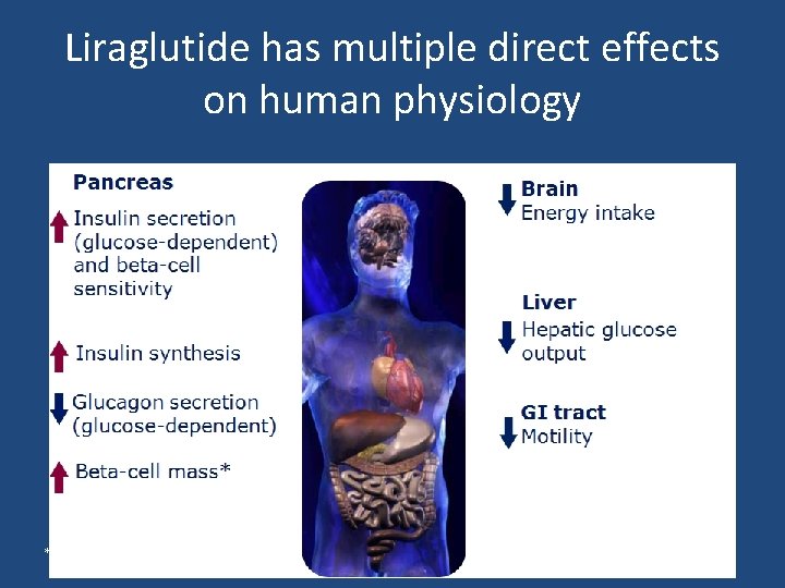 Liraglutide has multiple direct effects on human physiology *In animal studies 