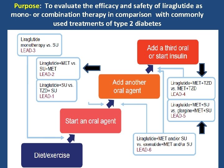 Purpose: To evaluate the efficacy and safety of liraglutide as mono- or combination therapy