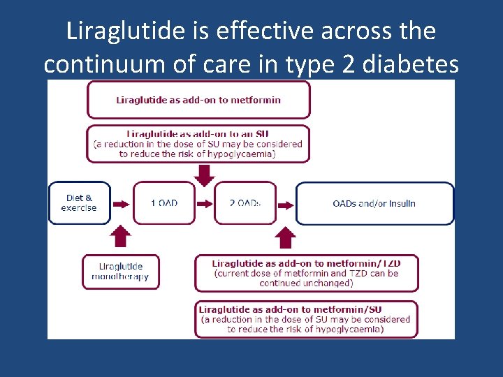 Liraglutide is effective across the continuum of care in type 2 diabetes 