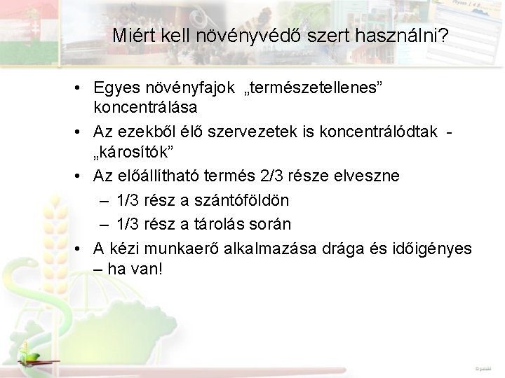 Miért kell növényvédő szert használni? • Egyes növényfajok „természetellenes” koncentrálása • Az ezekből élő