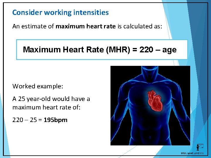 Consider working intensities An estimate of maximum heart rate is calculated as: Maximum Heart