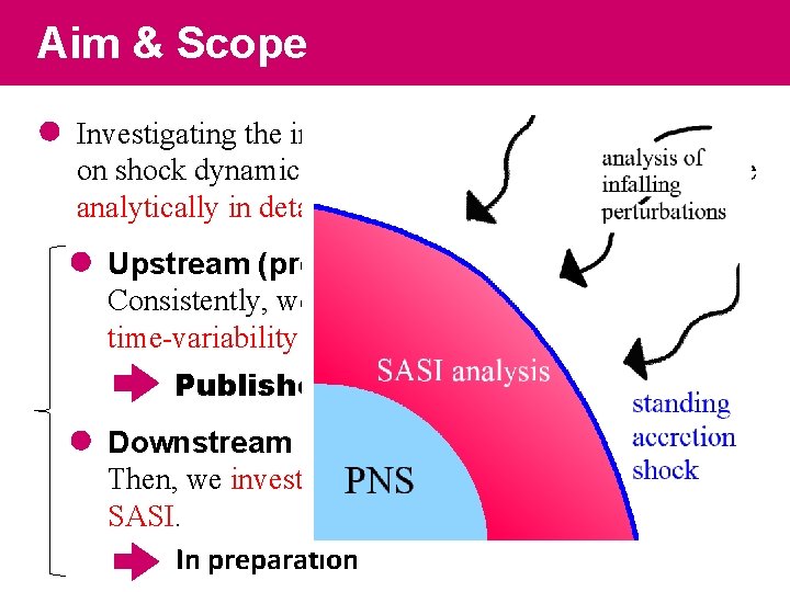 Aim & Scope Investigating the impact of fluctuating upstream flows on shock dynamics (SASI)