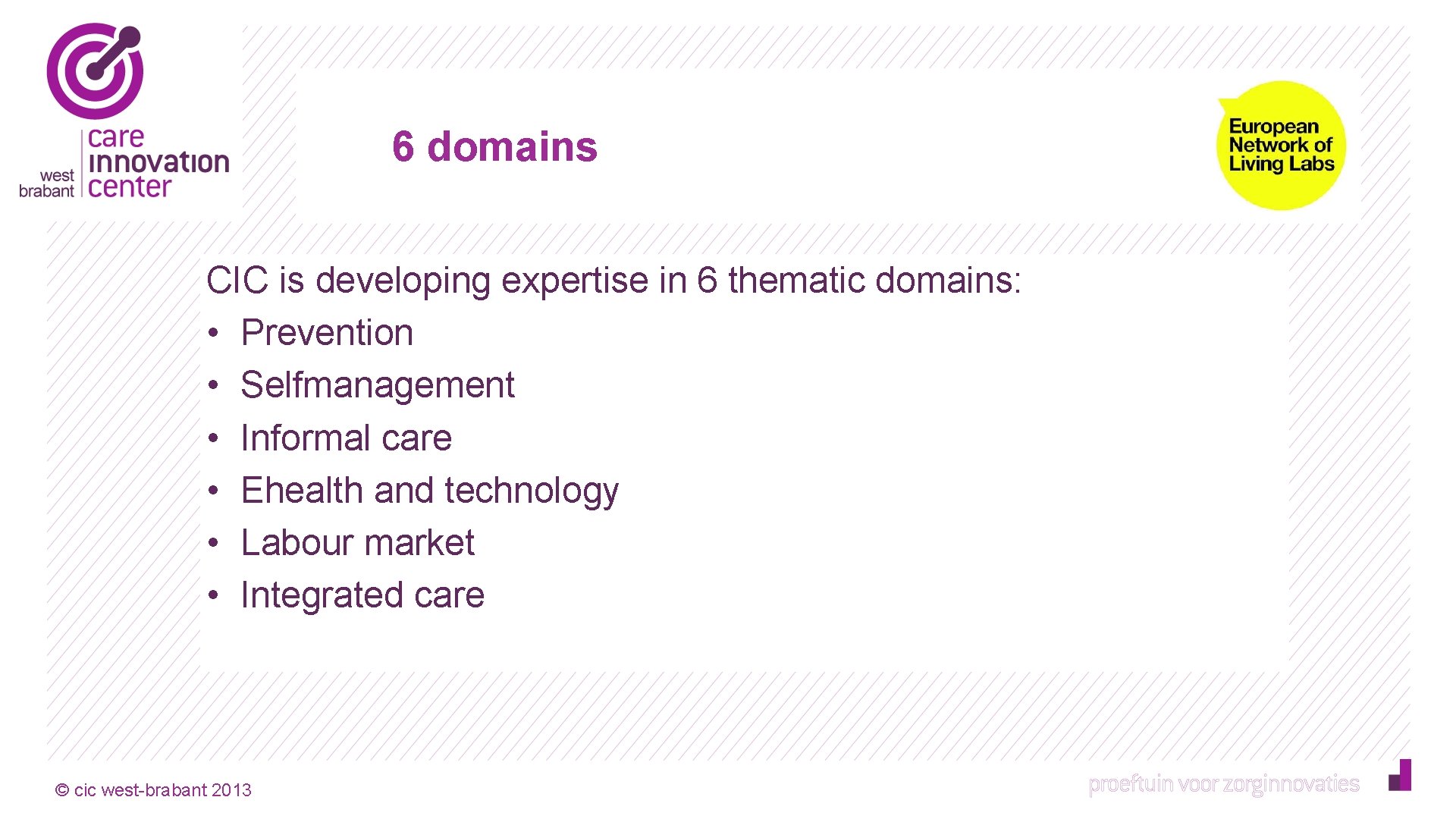 6 domains CIC is developing expertise in 6 thematic domains: • Prevention • Selfmanagement