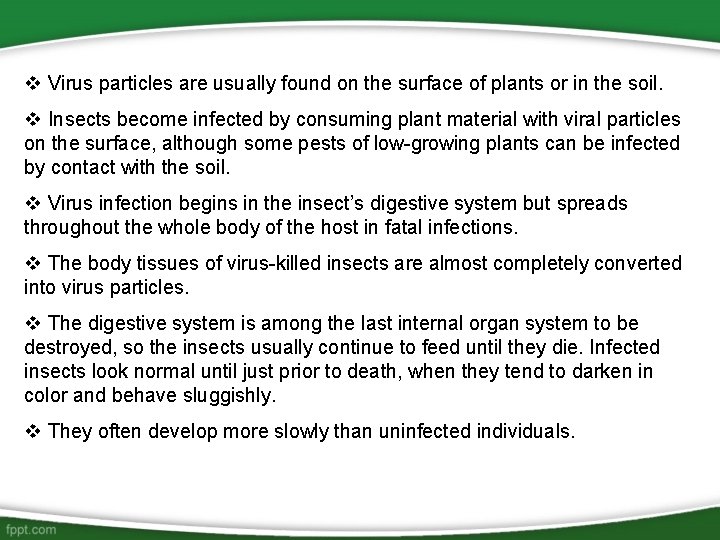 v Virus particles are usually found on the surface of plants or in the