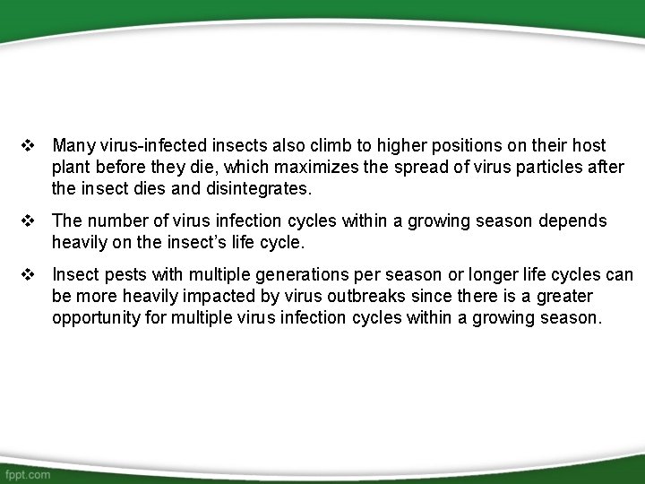 v Many virus-infected insects also climb to higher positions on their host plant before