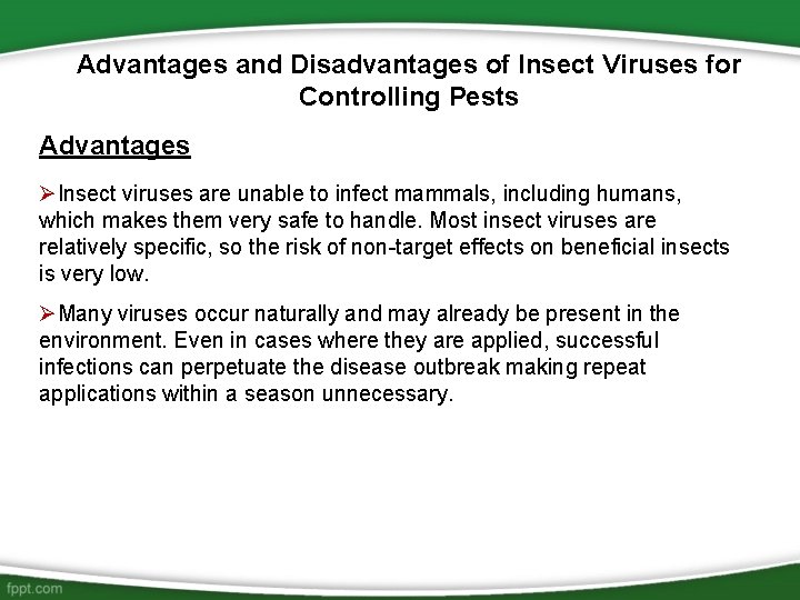 Advantages and Disadvantages of Insect Viruses for Controlling Pests Advantages ØInsect viruses are unable