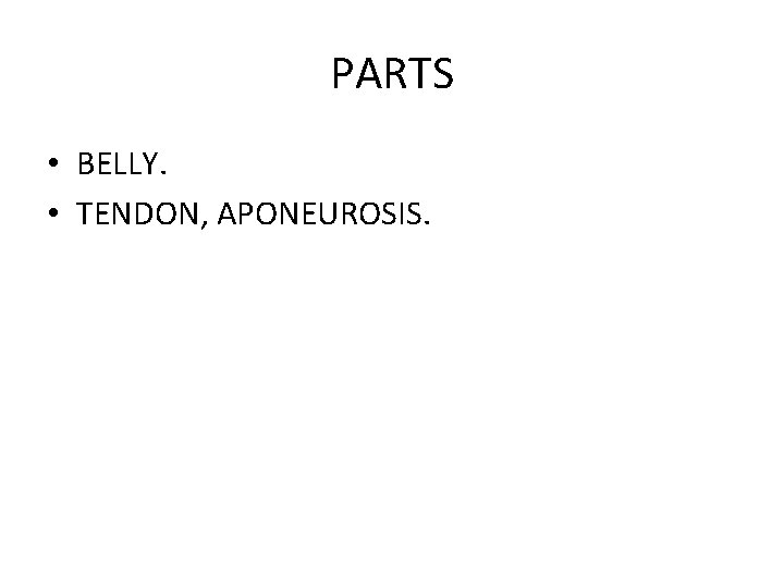 PARTS • BELLY. • TENDON, APONEUROSIS. 