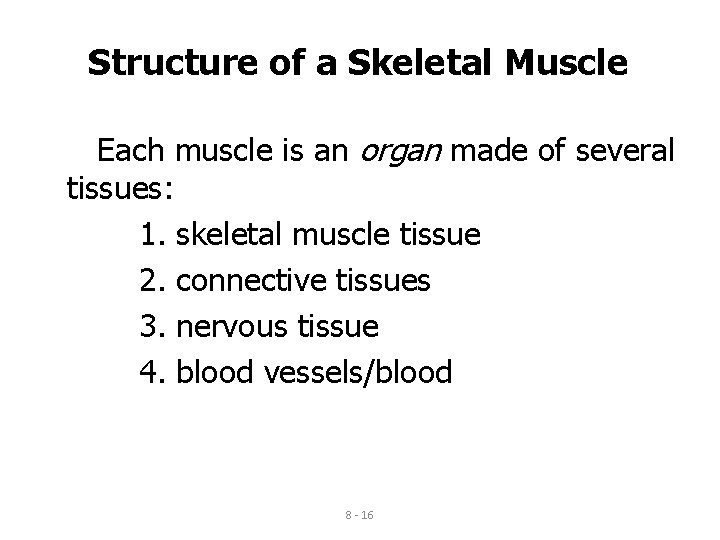 Structure of a Skeletal Muscle Each muscle is an organ made of several tissues: