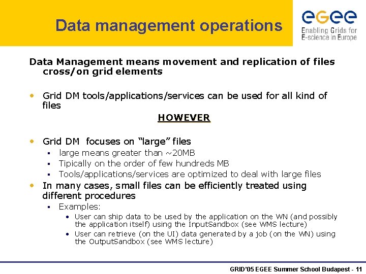 Data management operations Data Management means movement and replication of files cross/on grid elements
