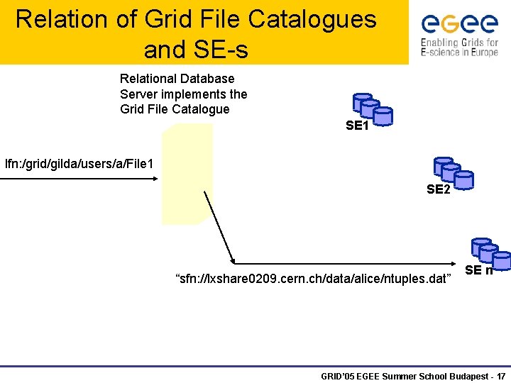 Relation of Grid File Catalogues and SE-s Relational Database Server implements the Grid File