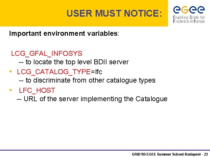 USER MUST NOTICE: Important environment variables: LCG_GFAL_INFOSYS -- to locate the top level BDII