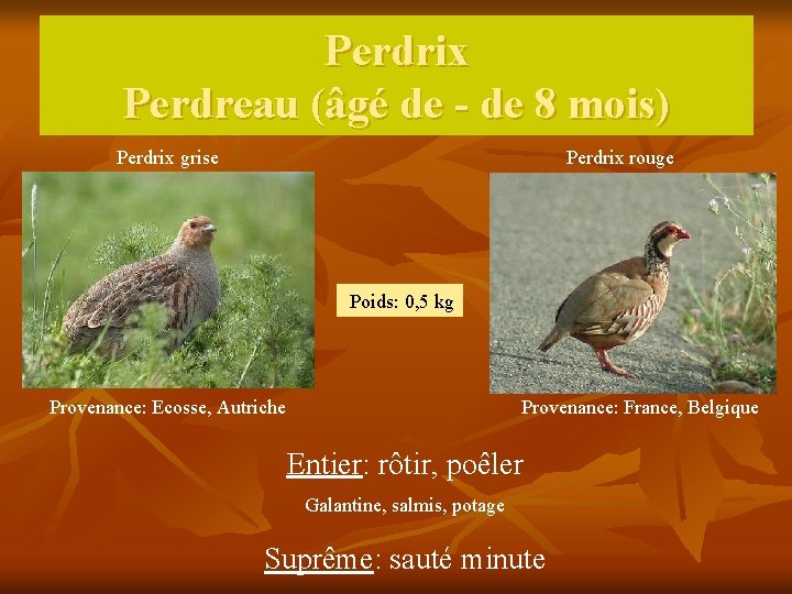 Perdrix Perdreau (âgé de - de 8 mois) Perdrix grise Perdrix rouge Poids: 0,