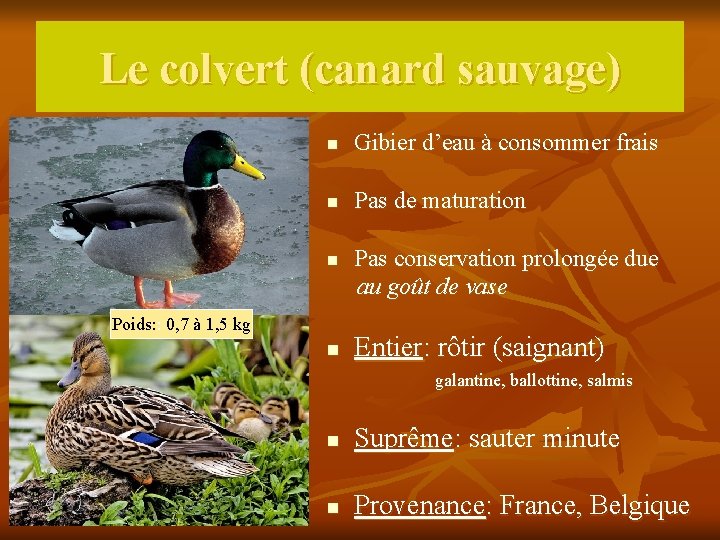 Le colvert (canard sauvage) n Gibier d’eau à consommer frais n Pas de maturation