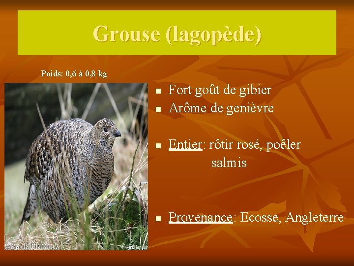 Grouse (lagopède) Poids: 0, 6 à 0, 8 kg n n Fort goût de