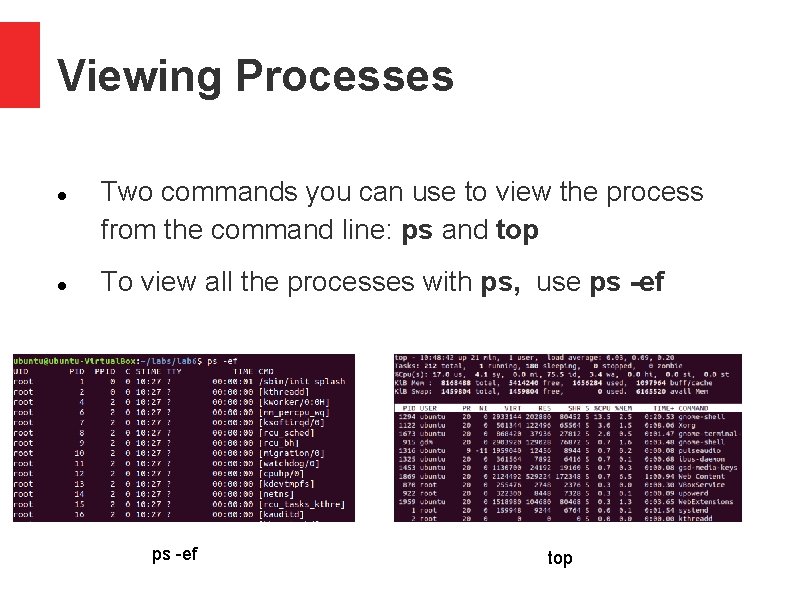 Viewing Processes Two commands you can use to view the process from the command